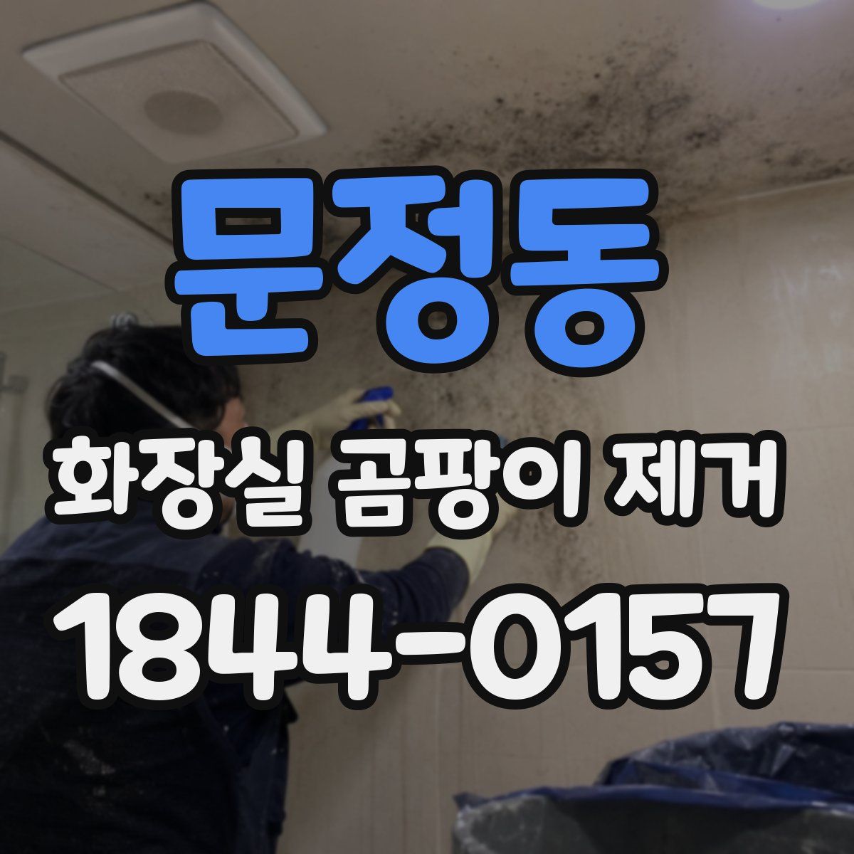 문정동 화장실 곰팡이 제거