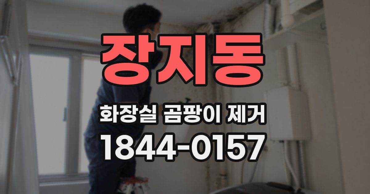 장지동 화장실 곰팡이 제거