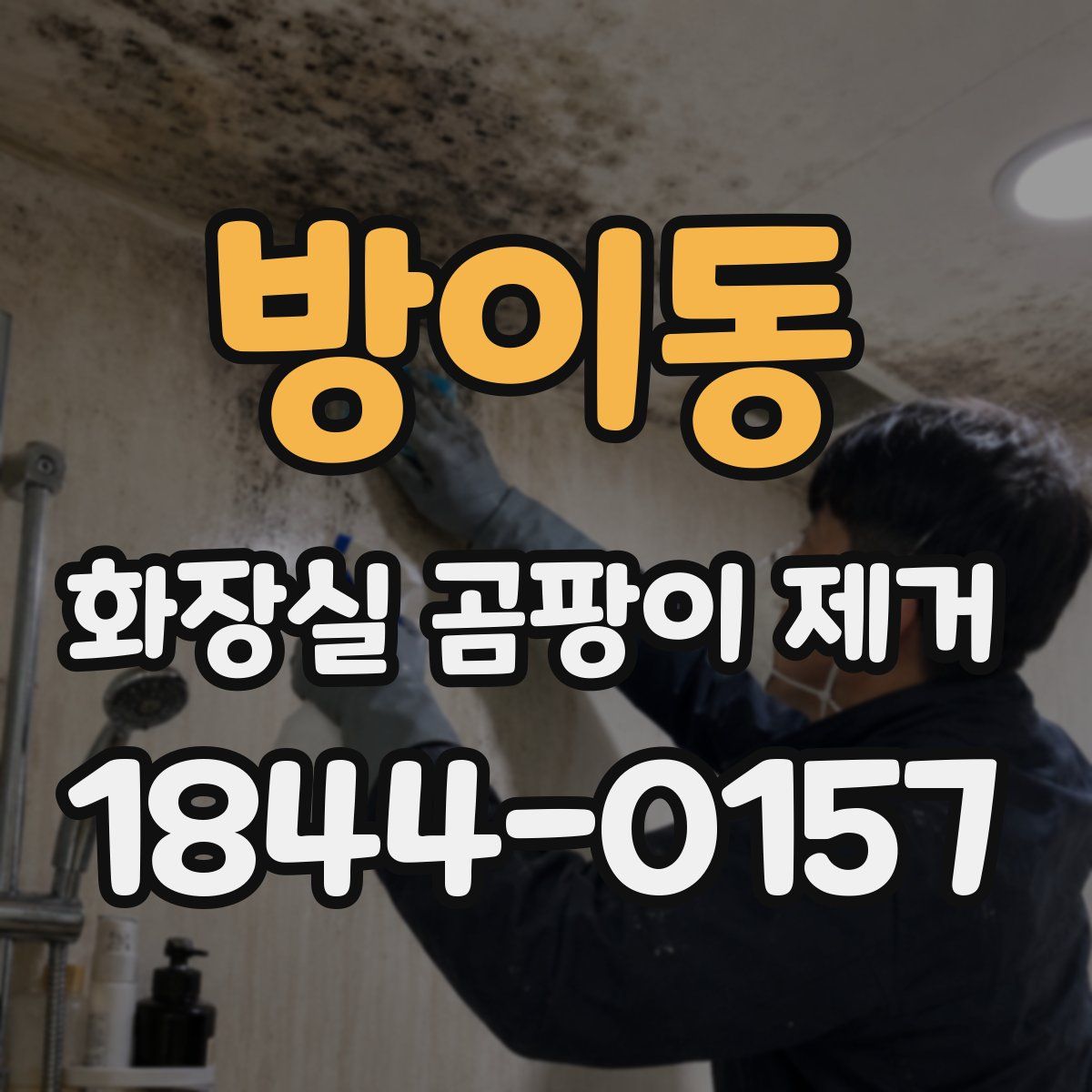 방이동 화장실 곰팡이 제거