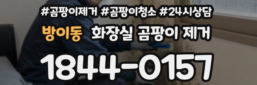 방이동 화장실 곰팡이 제거