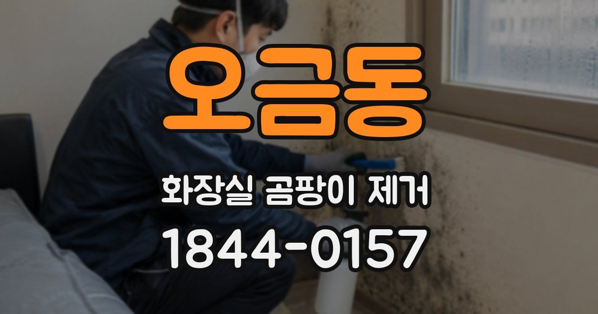 오금동 화장실 곰팡이 제거