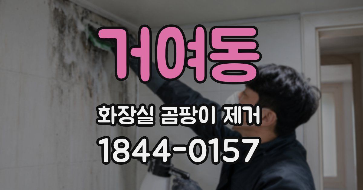 거여동 화장실 곰팡이 제거