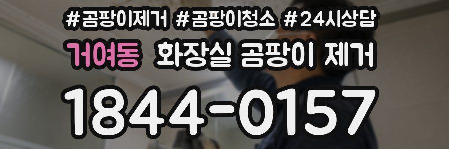거여동 화장실 곰팡이 제거