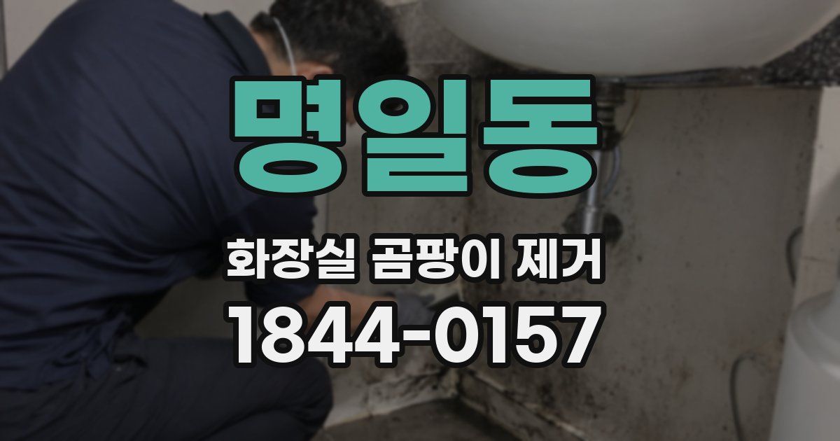 명일동 화장실 곰팡이 제거