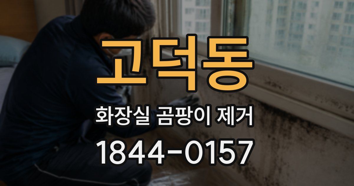 고덕동 화장실 곰팡이 제거