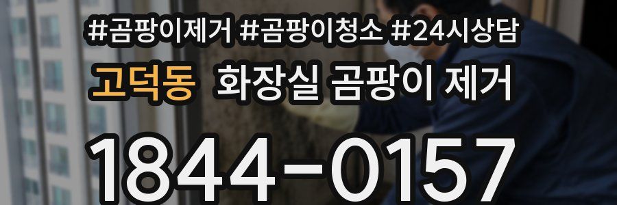 고덕동 화장실 곰팡이 제거