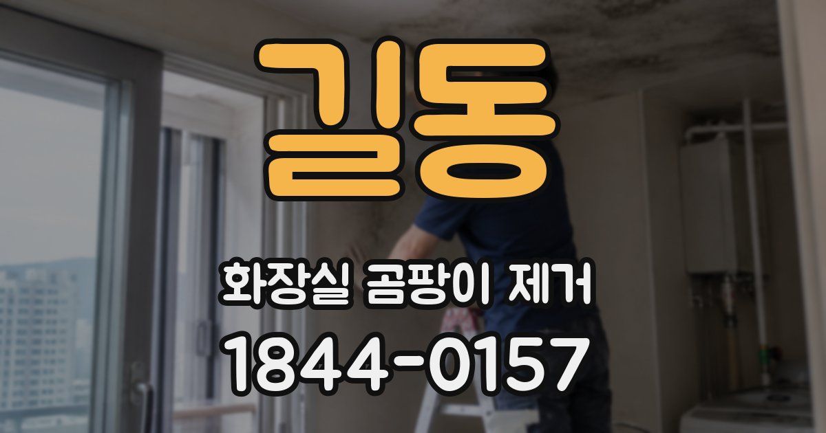 길동 화장실 곰팡이 제거