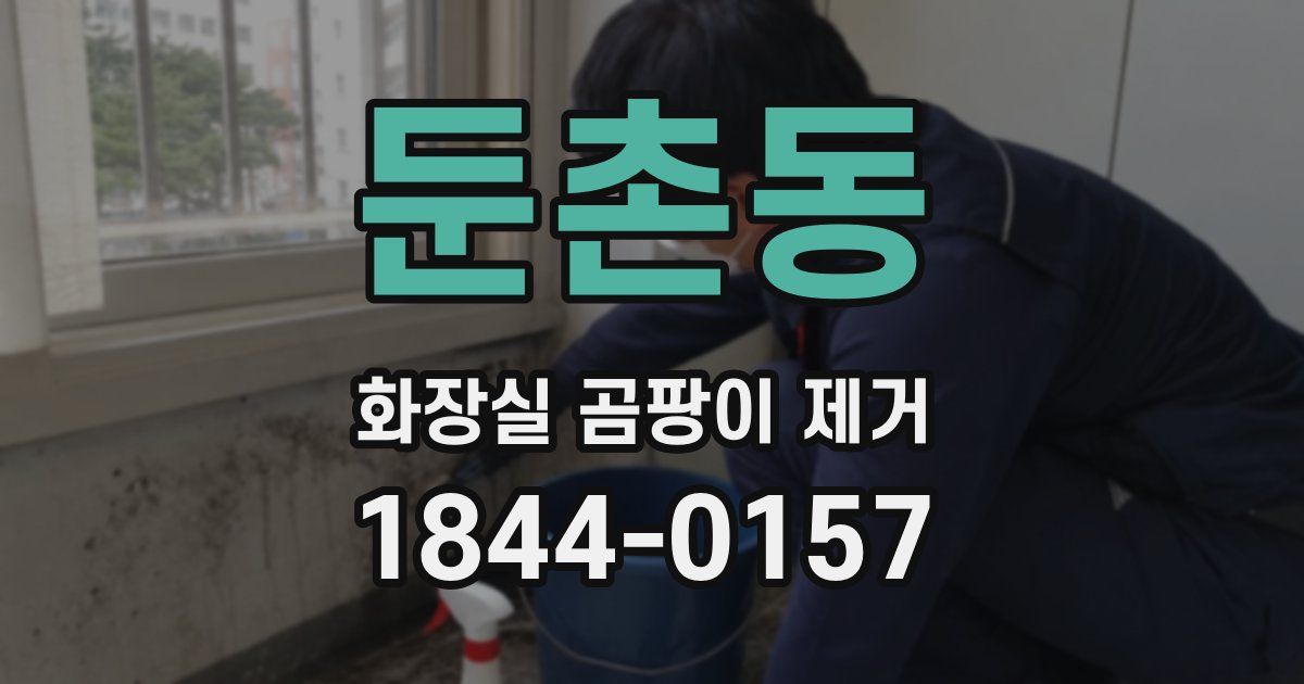 둔촌동 화장실 곰팡이 제거