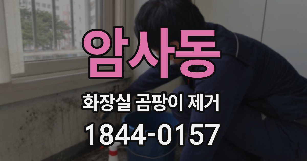 암사동 화장실 곰팡이 제거