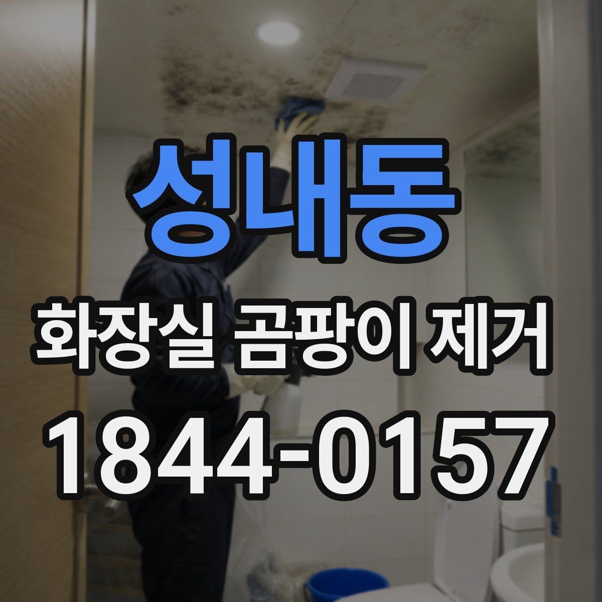 성내동 화장실 곰팡이 제거 곰팡이 생기는 원인과 재발 포인트