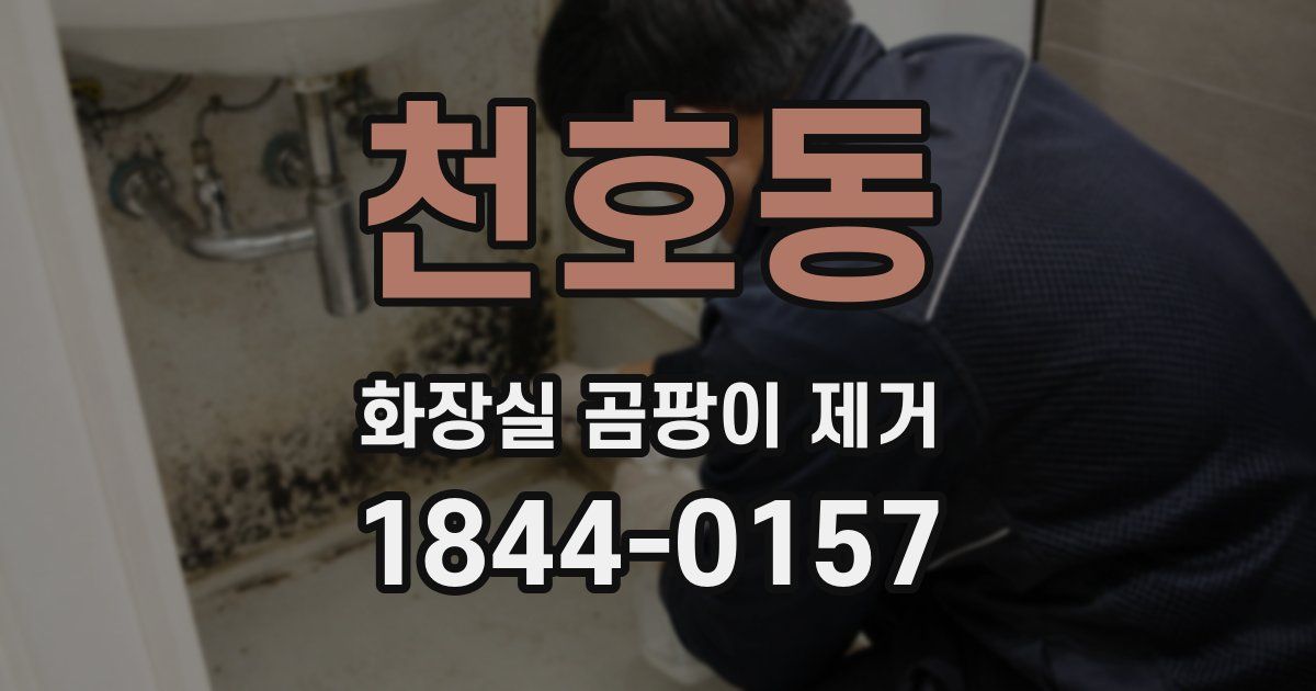 천호동 화장실 곰팡이 제거