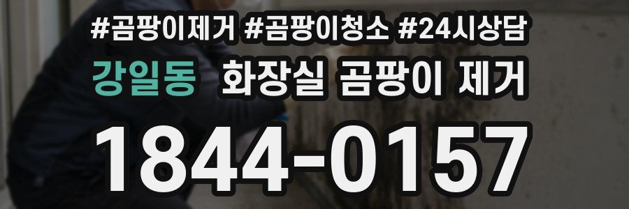 강일동 화장실 곰팡이 제거