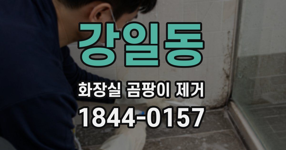 강일동 화장실 곰팡이 제거