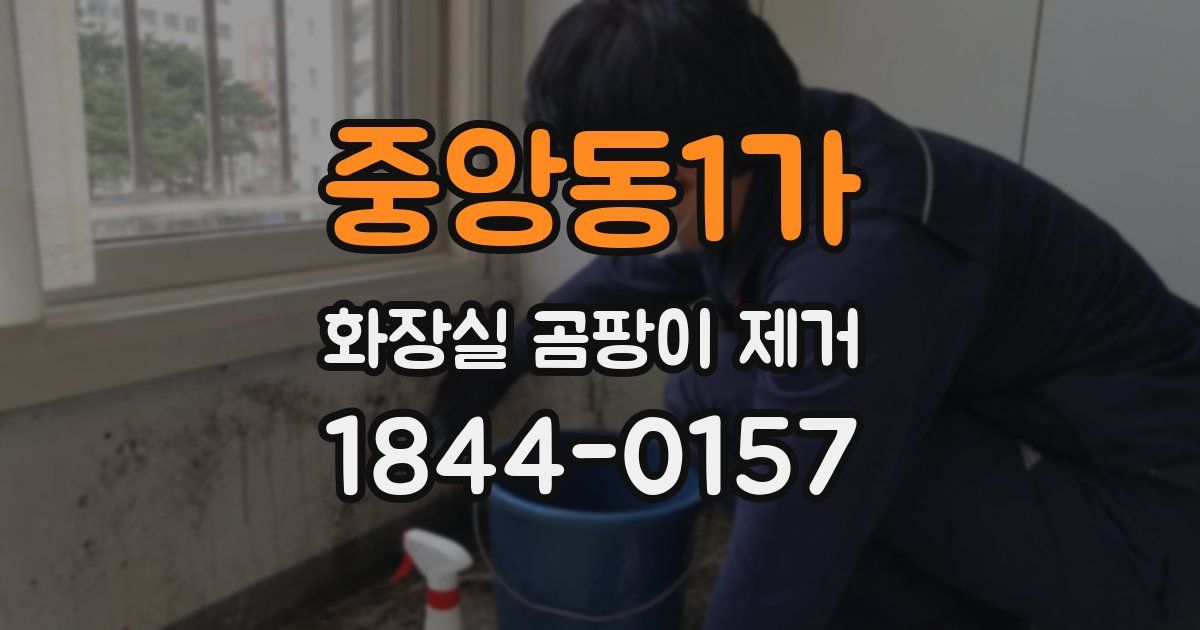 중앙동1가 화장실 곰팡이 제거