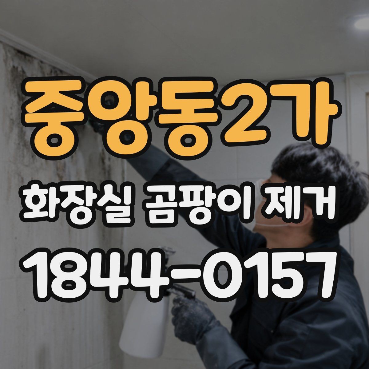 중앙동2가 화장실 곰팡이 제거 배수구 냄새까지 같이 관리하는 방법