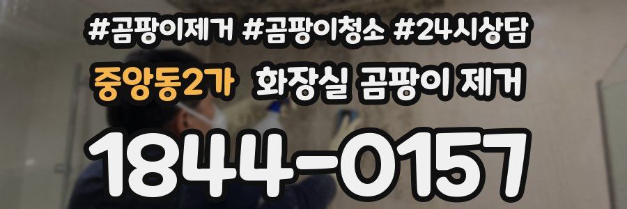 중앙동2가 화장실 곰팡이 제거