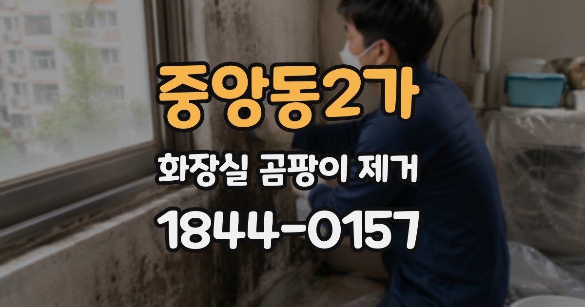 중앙동2가 화장실 곰팡이 제거
