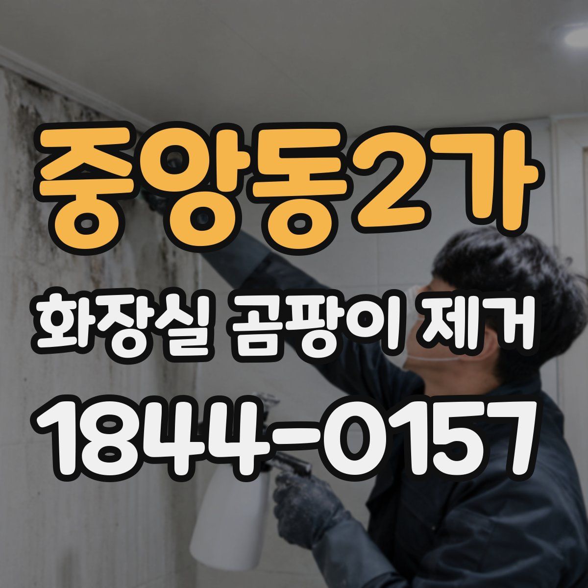 중앙동2가 화장실 곰팡이 제거