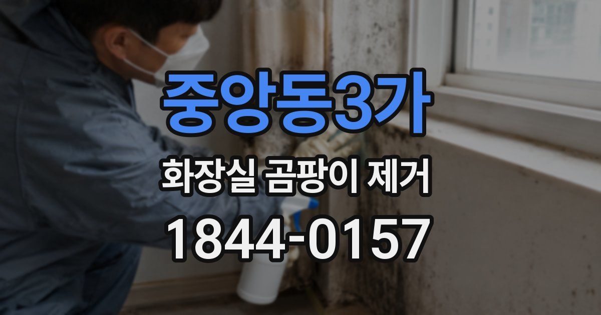 중앙동3가 화장실 곰팡이 제거