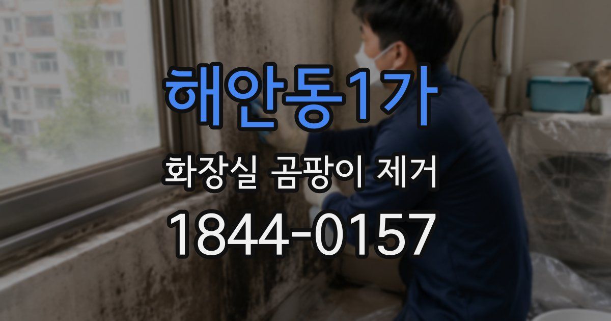 해안동1가 화장실 곰팡이 제거