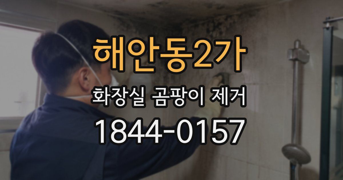 해안동2가 화장실 곰팡이 제거