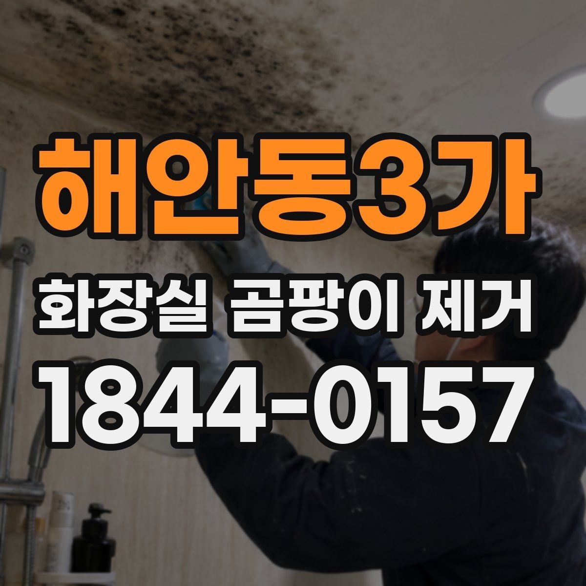 해안동3가 화장실 곰팡이 제거 곰팡이 생기는 원인과 재발 포인트