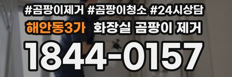 해안동3가 화장실 곰팡이 제거