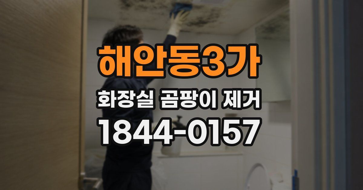 해안동3가 화장실 곰팡이 제거