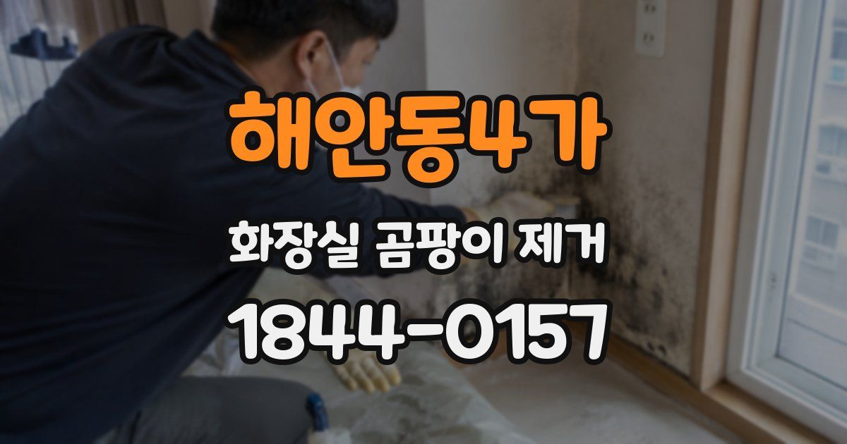 해안동4가 화장실 곰팡이 제거