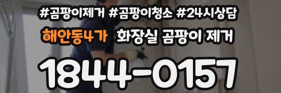 해안동4가 화장실 곰팡이 제거