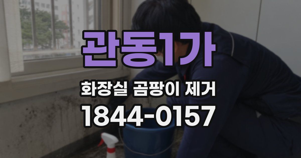 관동1가 화장실 곰팡이 제거