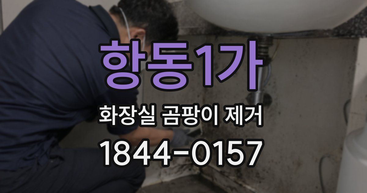 항동1가 화장실 곰팡이 제거