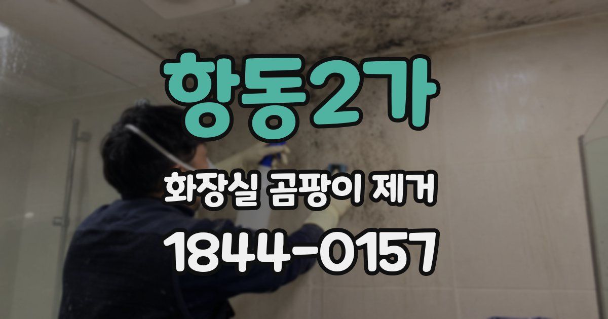 항동2가 화장실 곰팡이 제거