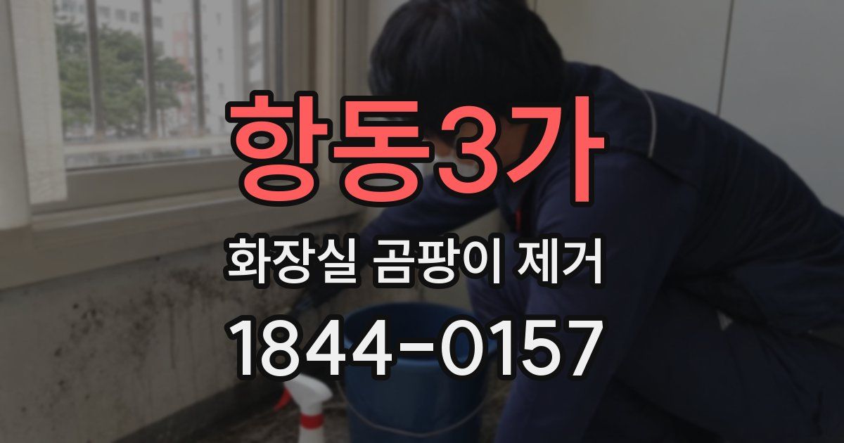 항동3가 화장실 곰팡이 제거