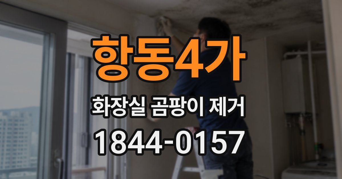 항동4가 화장실 곰팡이 제거