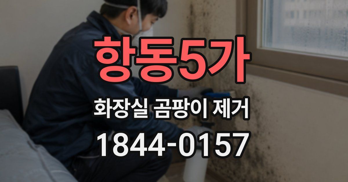항동5가 화장실 곰팡이 제거