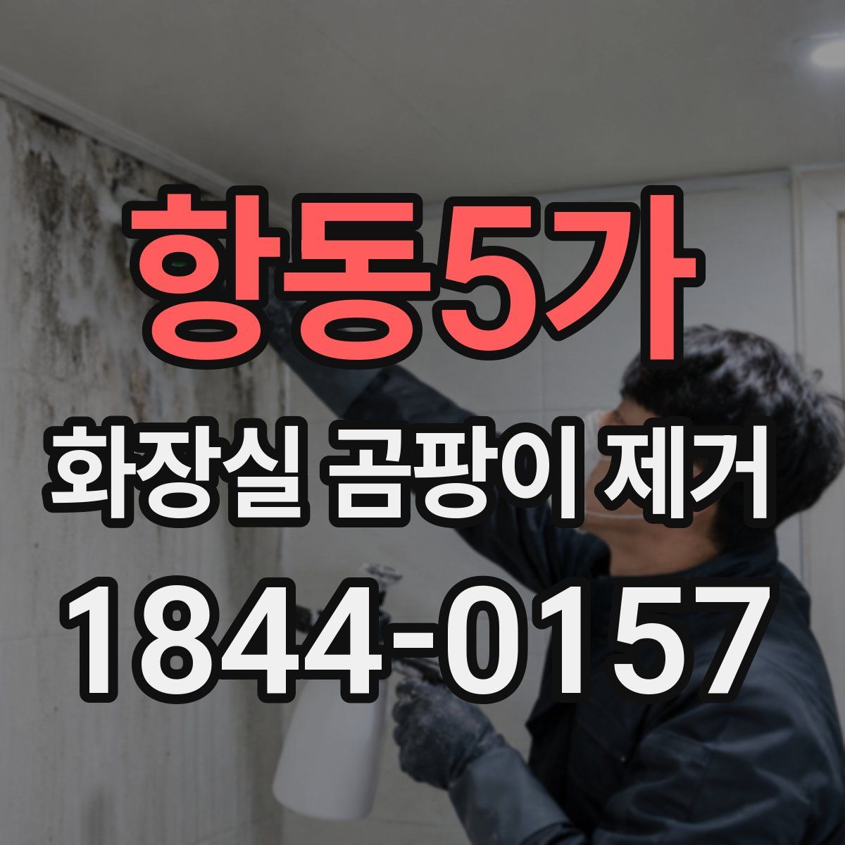 항동5가 화장실 곰팡이 제거