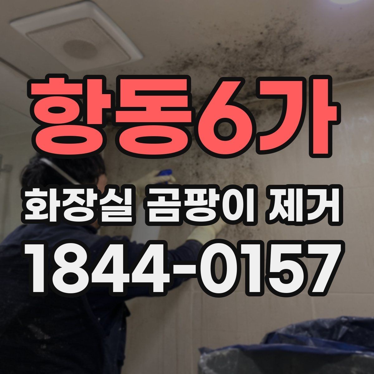 항동6가 화장실 곰팡이 제거 일반 오염과 검은 얼룩 구분하는 법