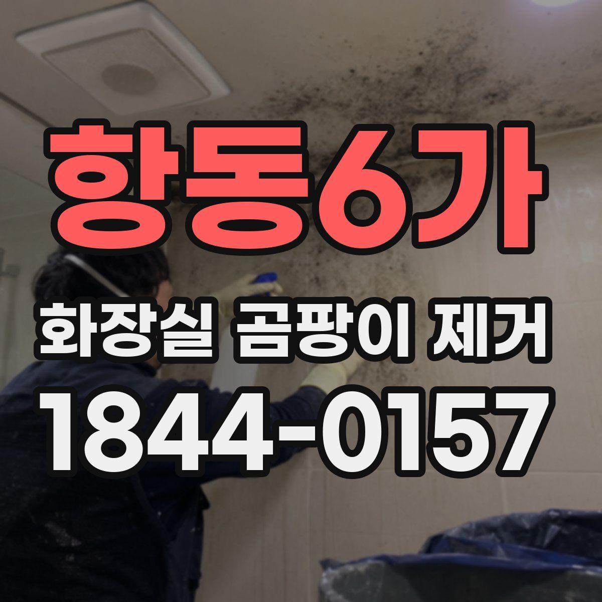 항동6가 화장실 곰팡이 제거