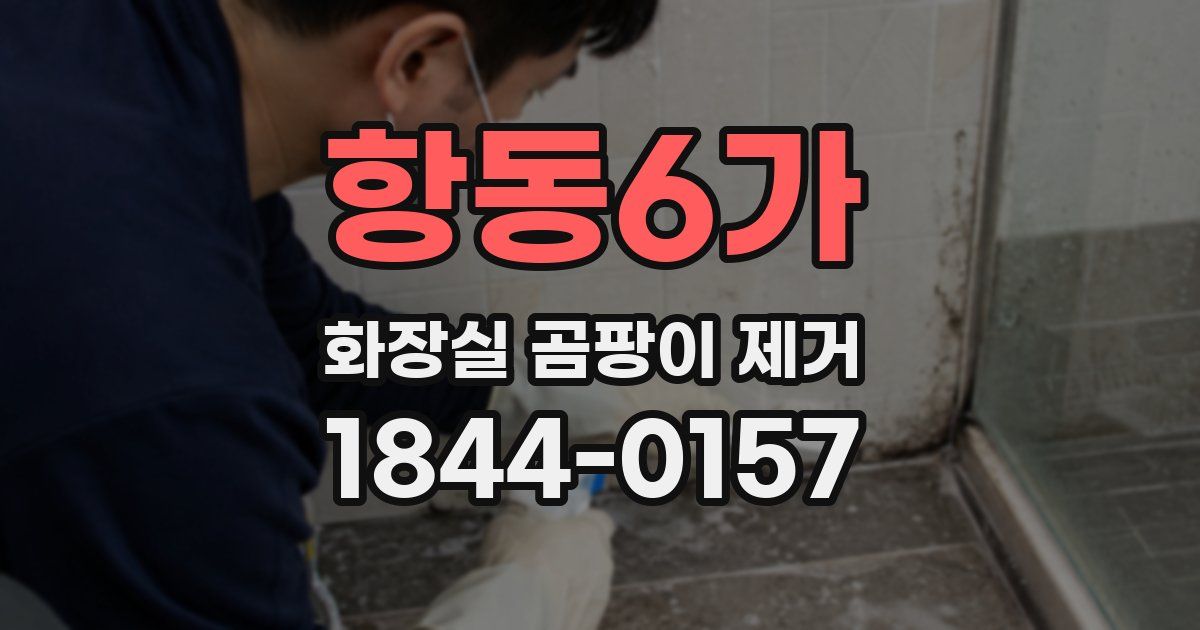 항동6가 화장실 곰팡이 제거