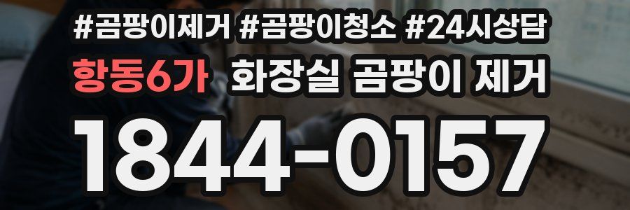 항동6가 화장실 곰팡이 제거