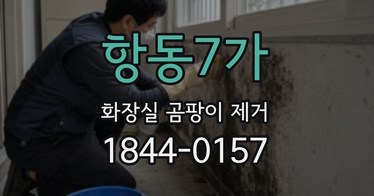 항동7가 화장실 곰팡이 제거