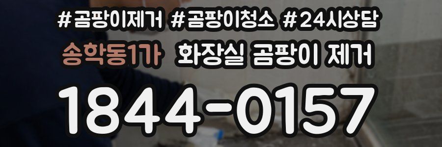 송학동1가 화장실 곰팡이 제거