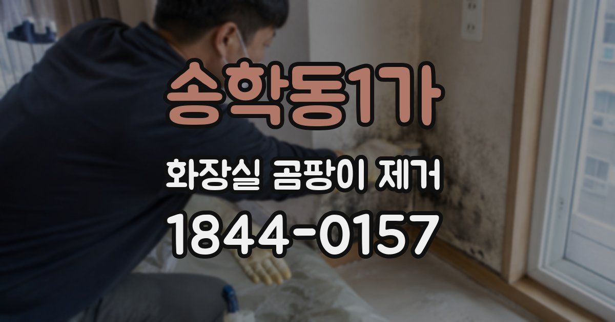 송학동1가 화장실 곰팡이 제거