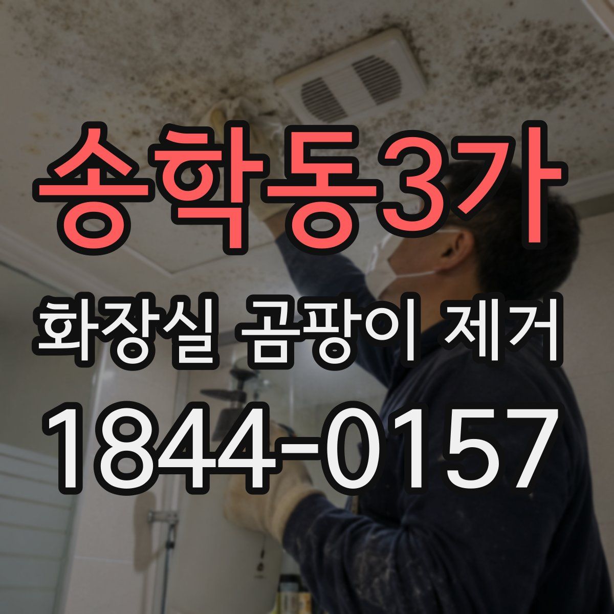 송학동3가 화장실 곰팡이 제거
