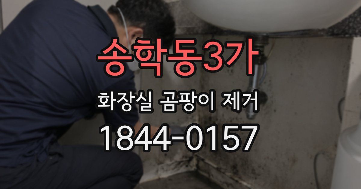 송학동3가 화장실 곰팡이 제거