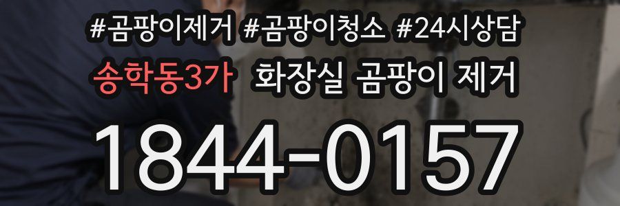 송학동3가 화장실 곰팡이 제거