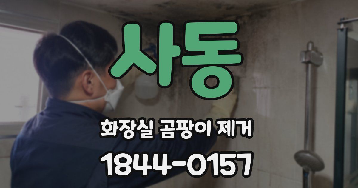 사동 화장실 곰팡이 제거