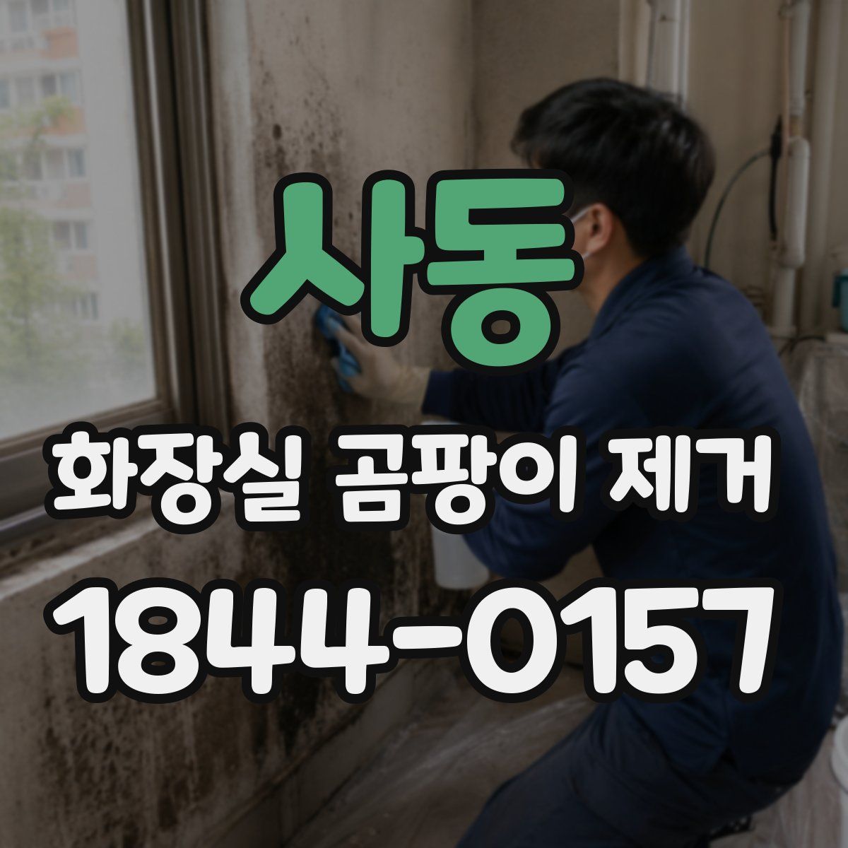 사동 화장실 곰팡이 제거