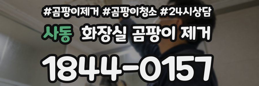 사동 화장실 곰팡이 제거